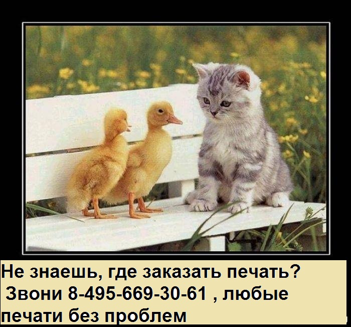 печати без документов